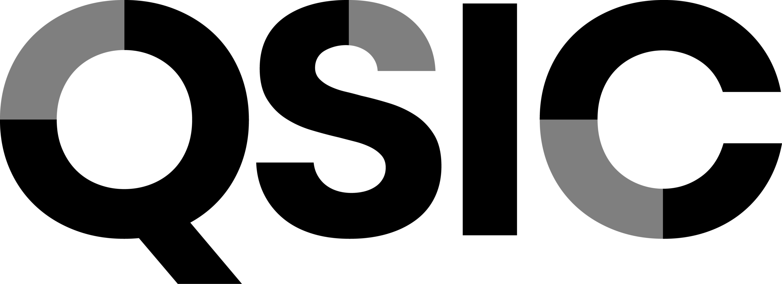 Qsic logo